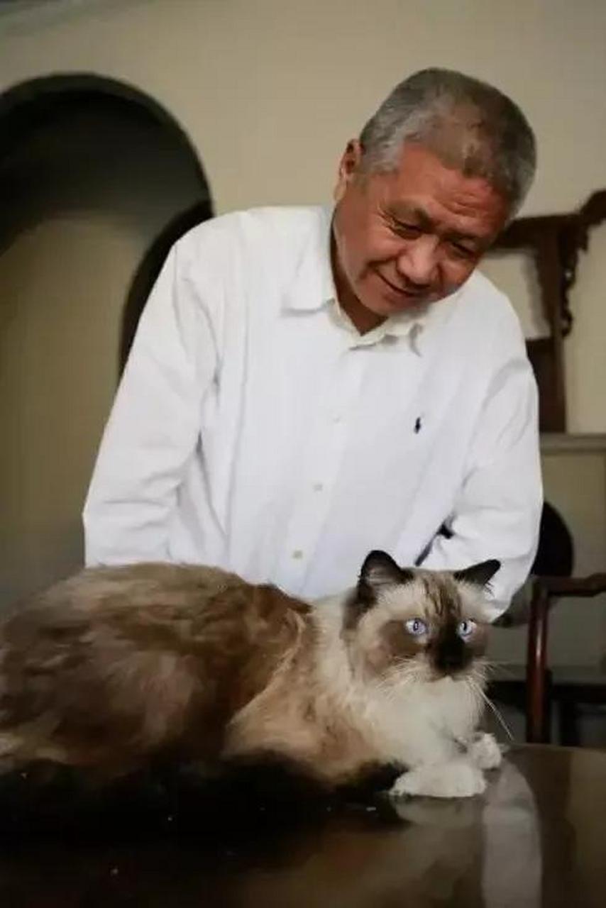 一次,马未都的布偶猫走丢,一家人着急上火,特意请来猫专家,在家里的