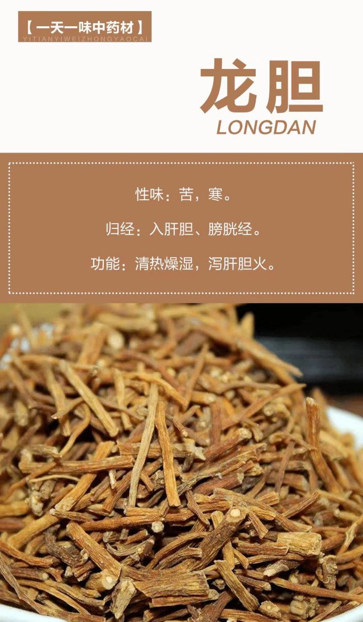 龍膽 【來源】龍膽科植物條葉龍膽,龍膽,三花龍膽或堅龍膽的乾燥根及