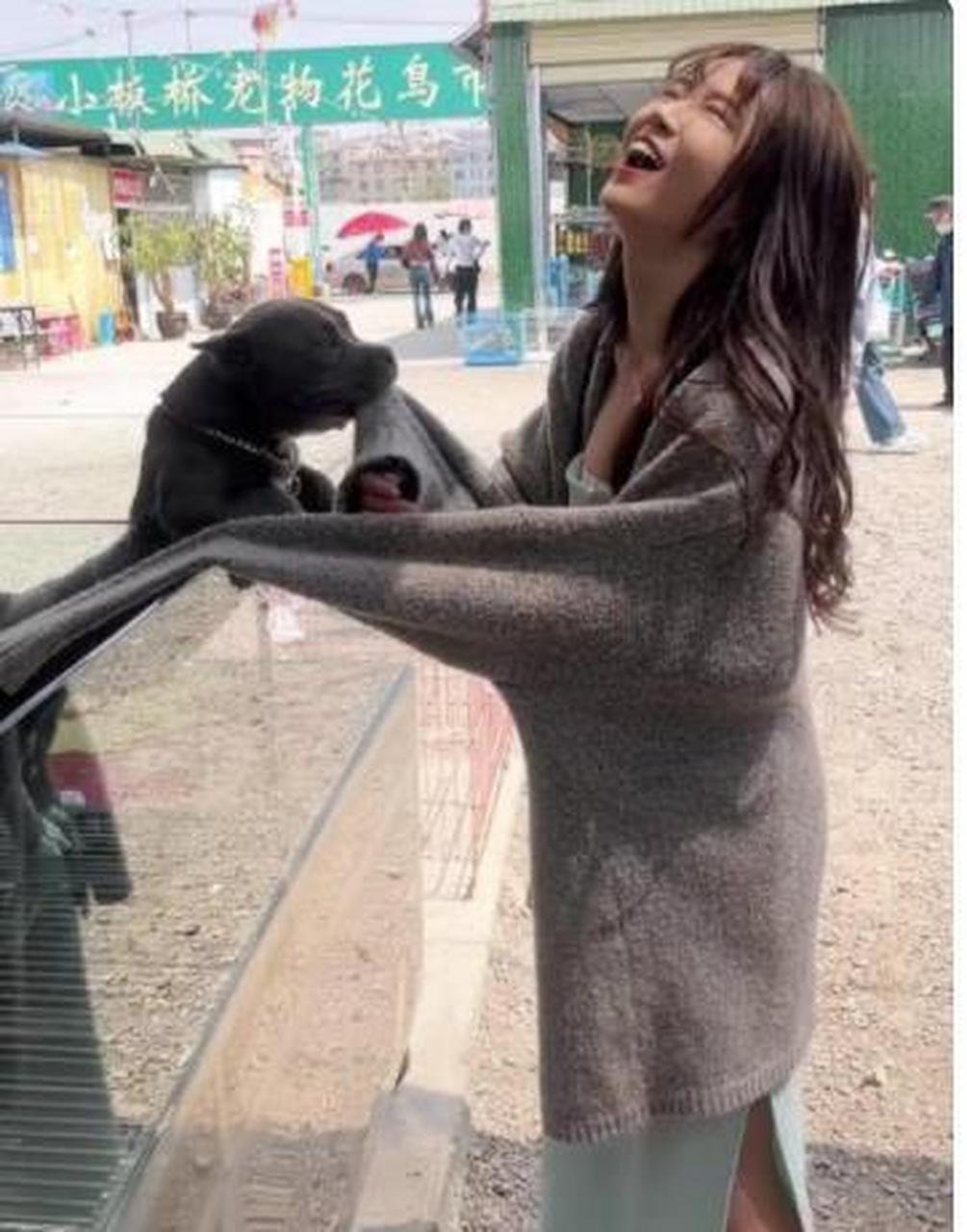 狗娘养的,放开那个女孩,让我来!