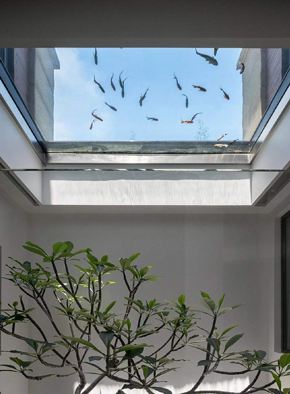 别墅地下室天井的巧妙设计 带大家感受一下鱼[饺子]在天上游～ 好有