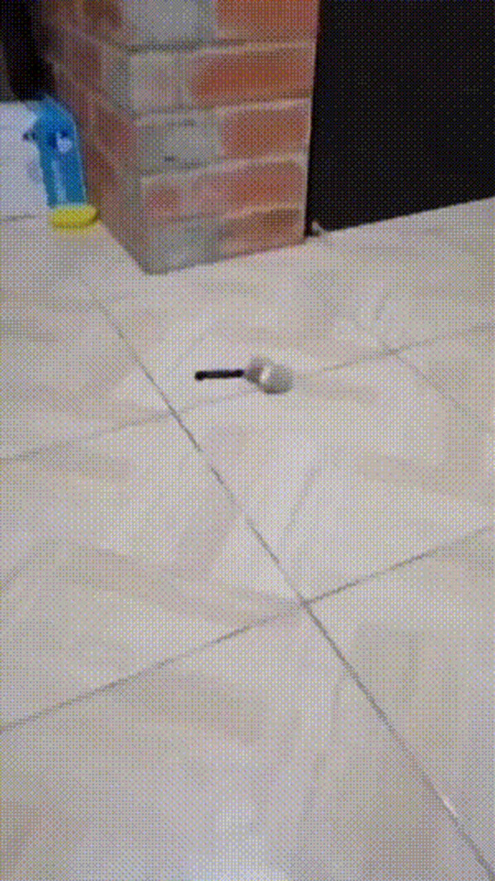 gif创作人# 图1--老鼠扛刀,满街找猫 图2--翘嘴角,撩头发,卖萌,你