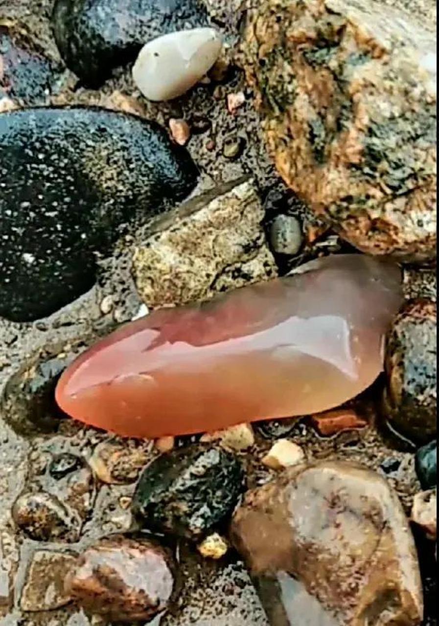 河滩上遇到了这个场景,算艳遇不.石头都在这儿呢,你捡哪块.