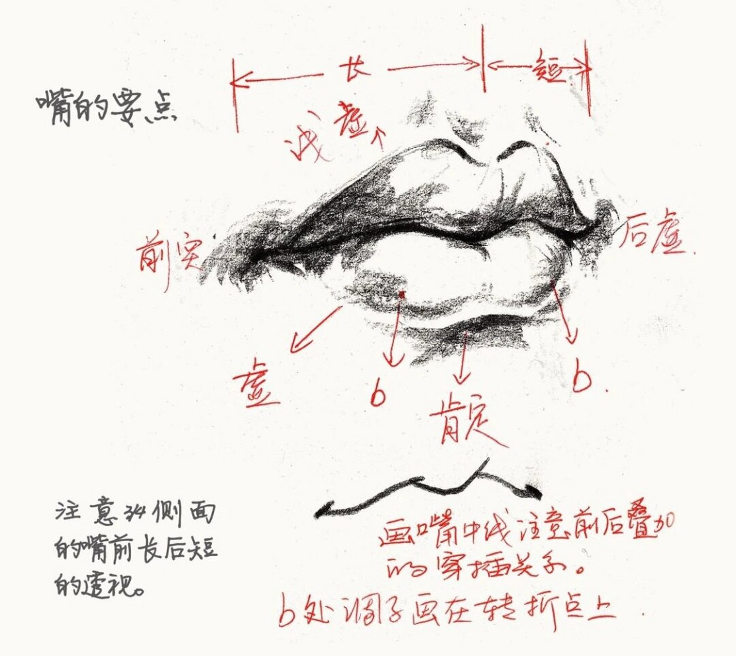 速写基础-嘴巴速写怎么画|一定要收藏  嘴巴的整体形状应该画成一个