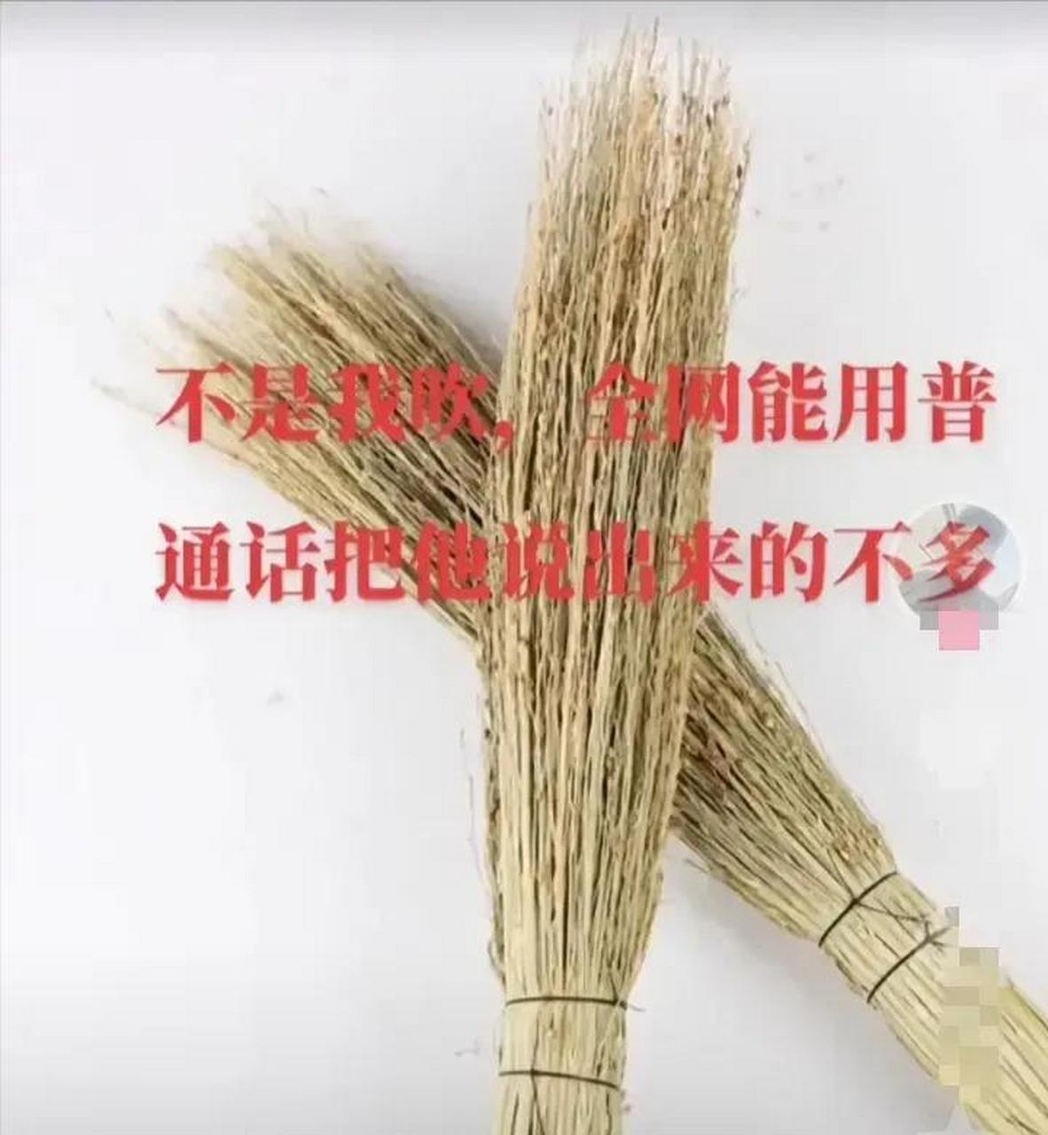 gif创作人# 炊zhu(河北邯郸某地方言) [捂脸]