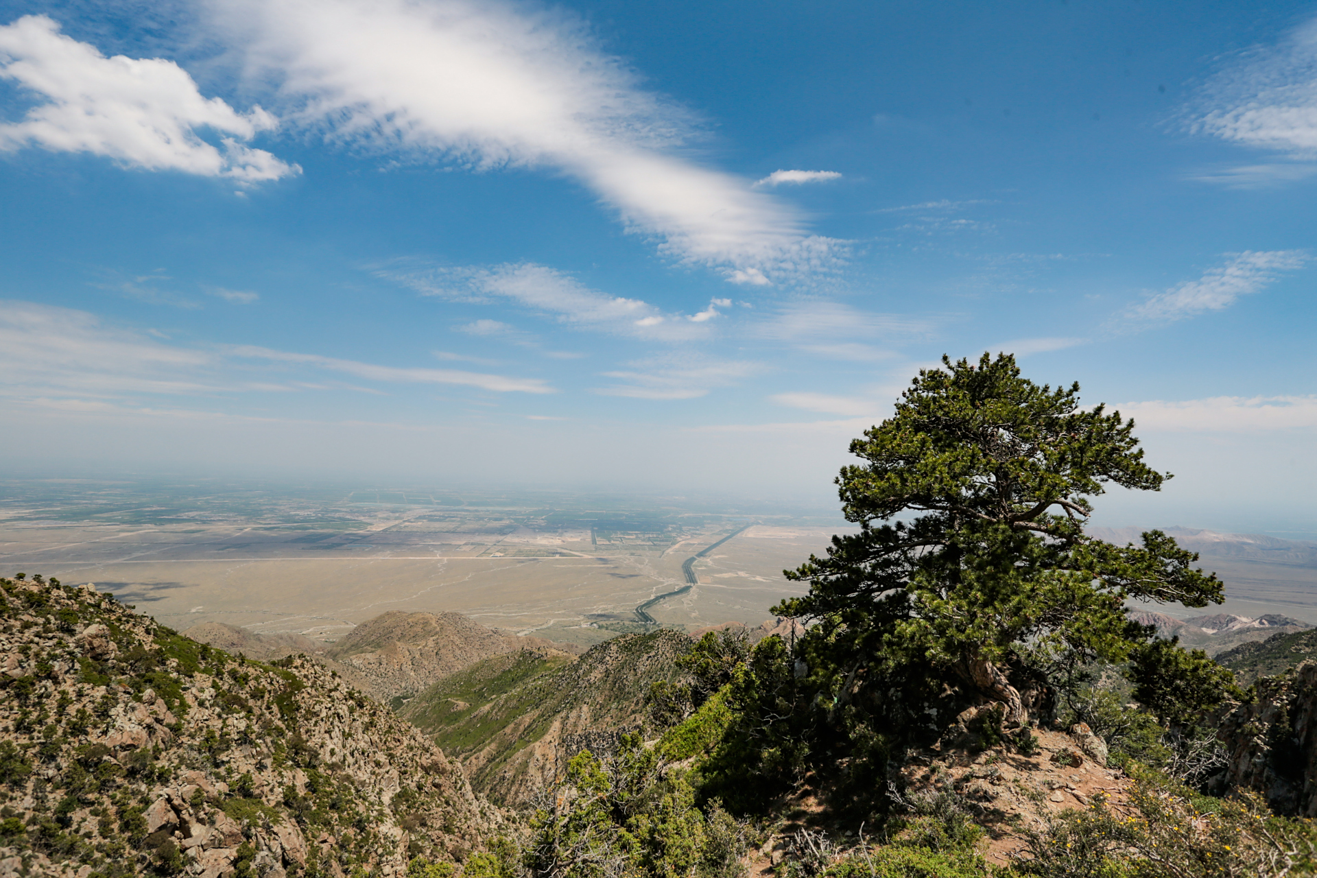 贺兰山一棵松:在贺兰山滚钟口景区通往贺兰矿的山脊上,生长着一株古松