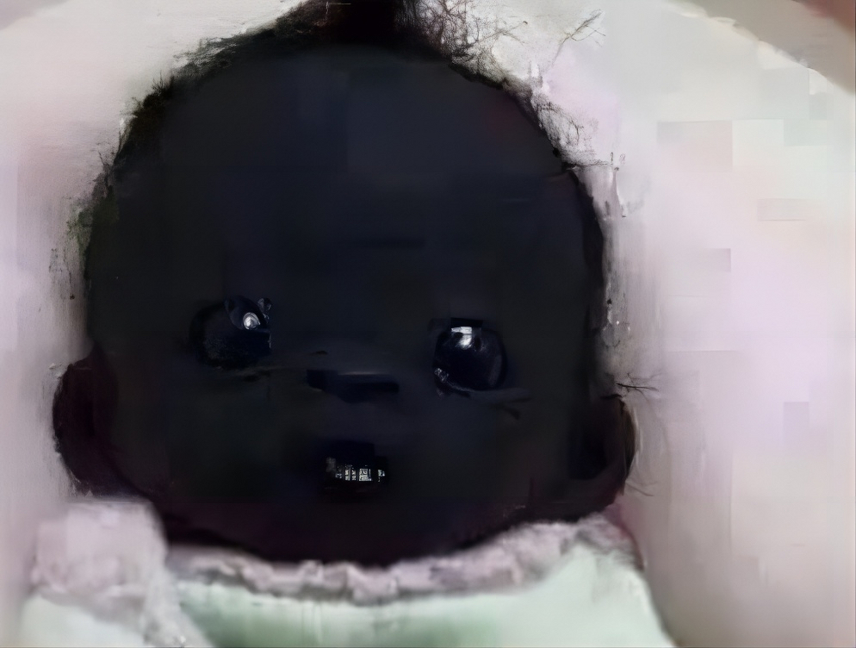 世界上最黑的孩子 世界上最黑的孩子:南非小孩,2015年6月12日,一张名