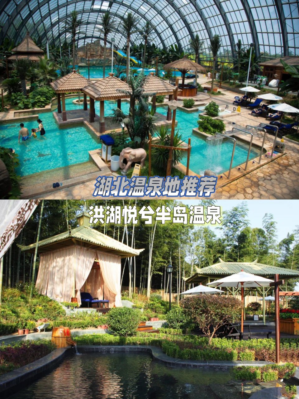 的温泉7615 	 99地址:湖北洪湖乌林镇近乌林遗址悦兮半岛国际温