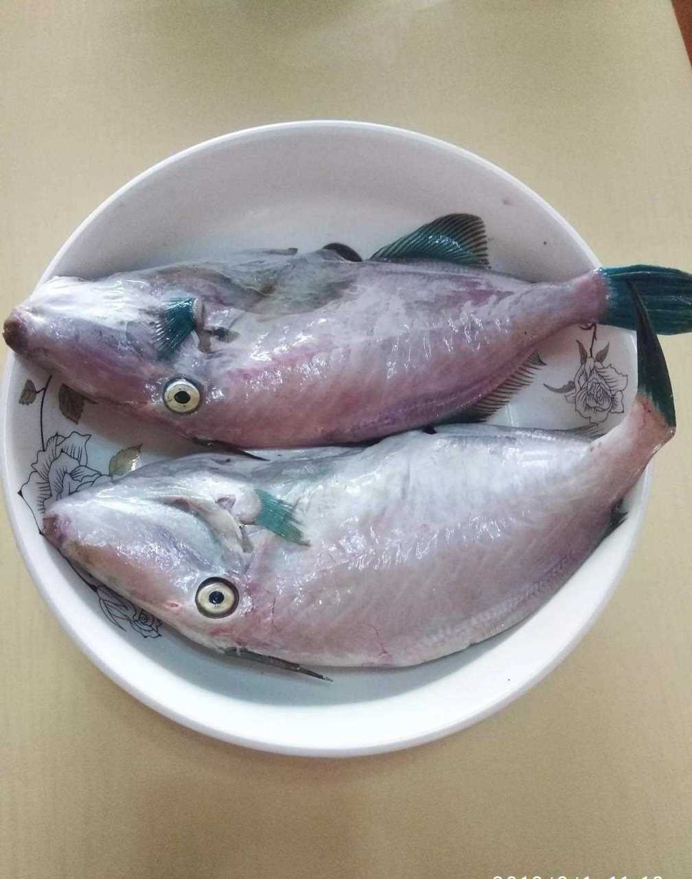 扒皮鱼的学名叫绿鳍马面鲀,以前大连这种鱼多的是,是那时候做烤鱼片的