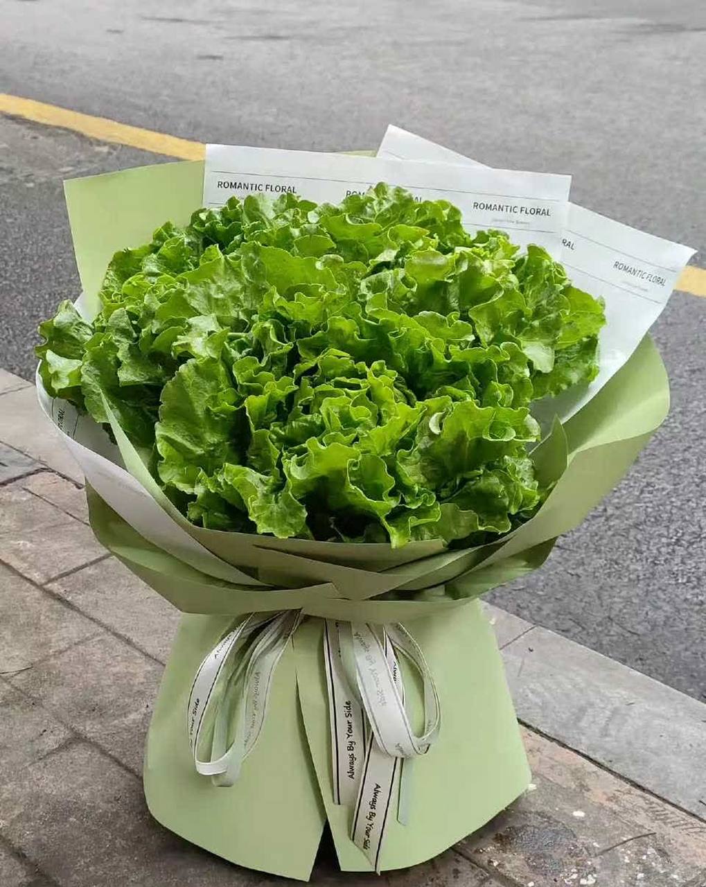 网友520收到一份情人节礼物,生菜"生菜花",这份情人节礼物确实有点