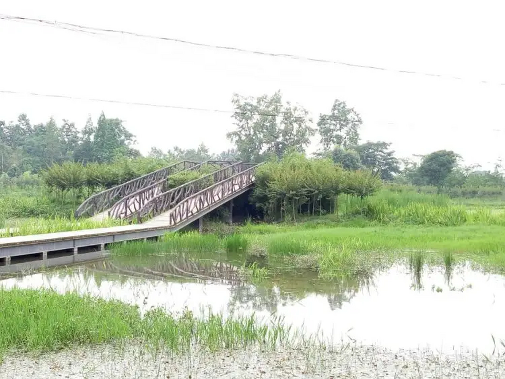 郫县云桥湿地公园图片