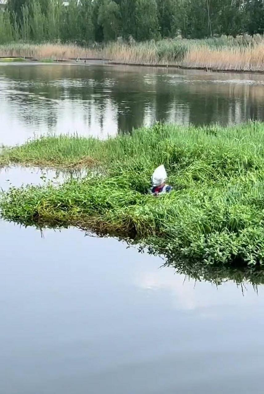 发现一只野生奥特曼,好想把它抓起来! #趣图搞笑