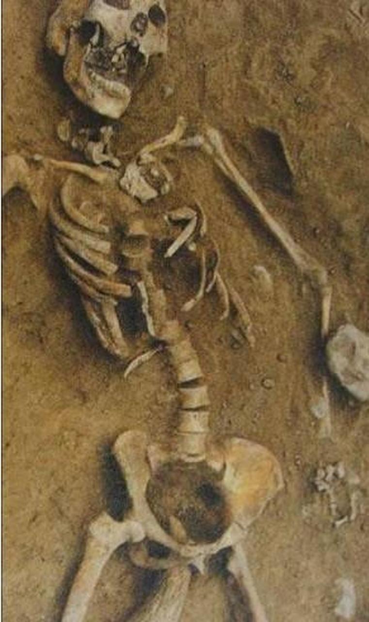 妇女遭摧残后被牛角捅入下体而死---山西襄汾陶寺遗址  她面部狰狞
