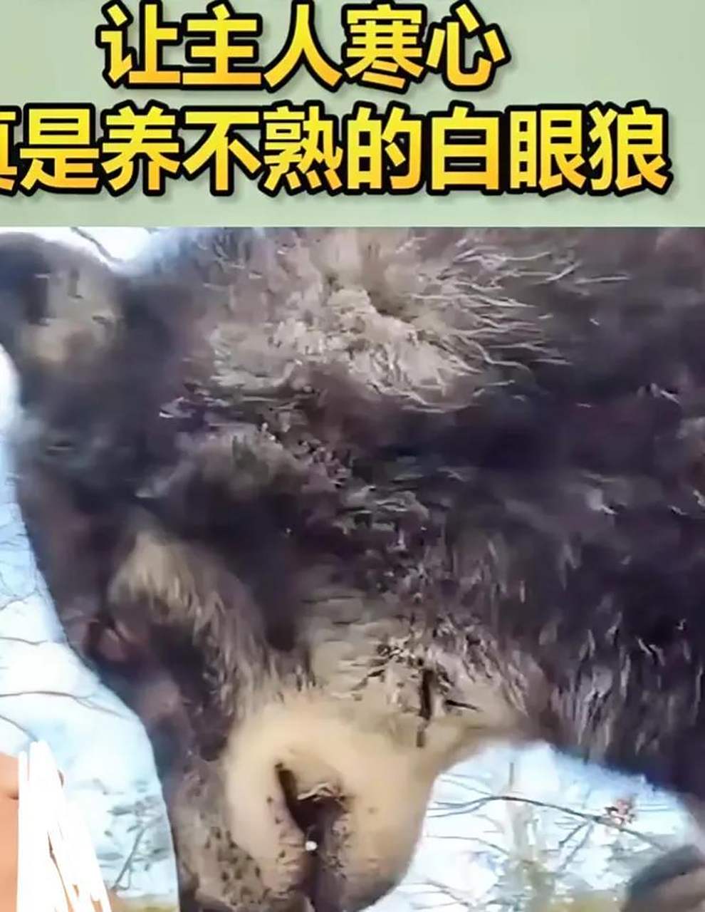 白眼狼养不熟,大陆终于决定不再惯着台湾了.