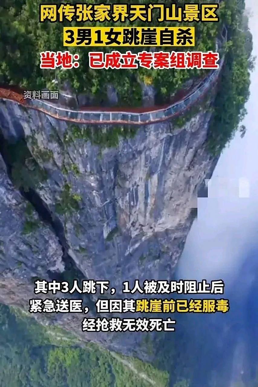 近日,网传多名游客在张家界天门山景区集体跳崖自杀.