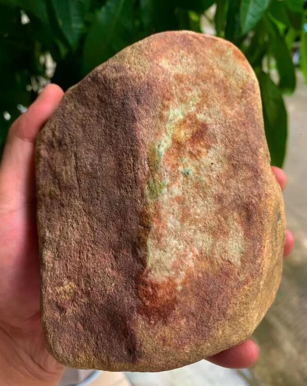 29公斤,老木那杨梅皮飘花手镯料,品相好,坠手感强,性价比高,色必进,有