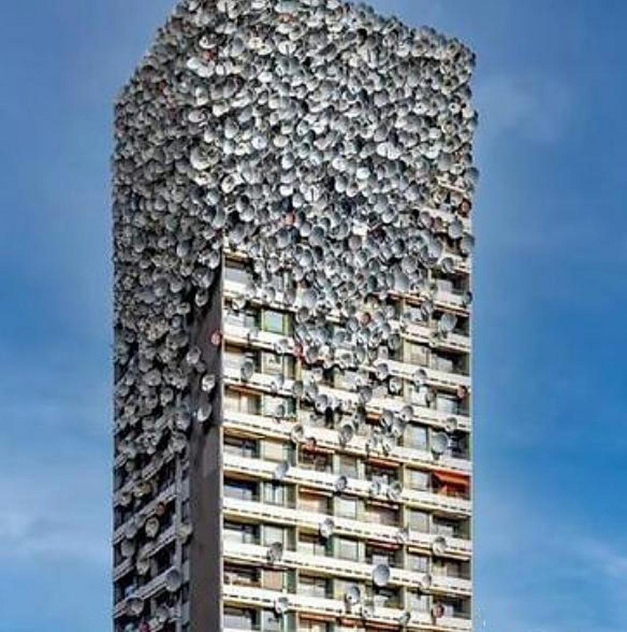 这栋高层的楼顶,密密麻麻堆着的都是些什么东西啊,难道是蘑菇吗?