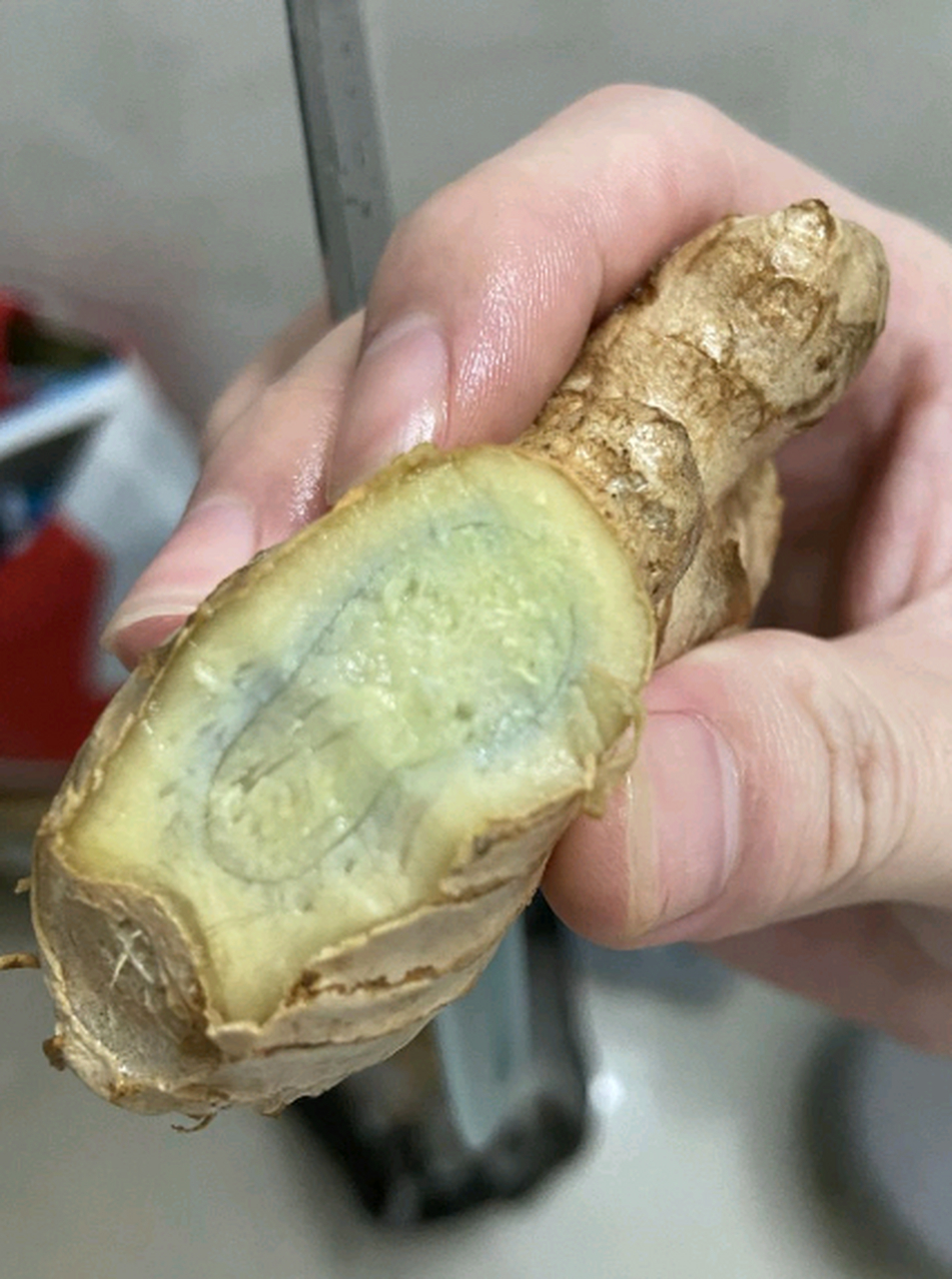生姜里面变成了这样,是不是烂掉了?