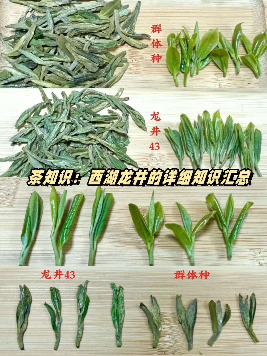 茶知识:西湖龙井的详细知识汇总  西湖龙井,中国绿茶的瑰宝,承载着