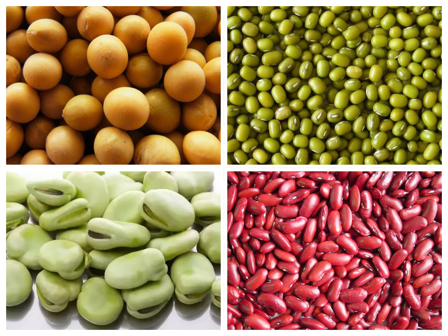 关节炎饮食注意事项