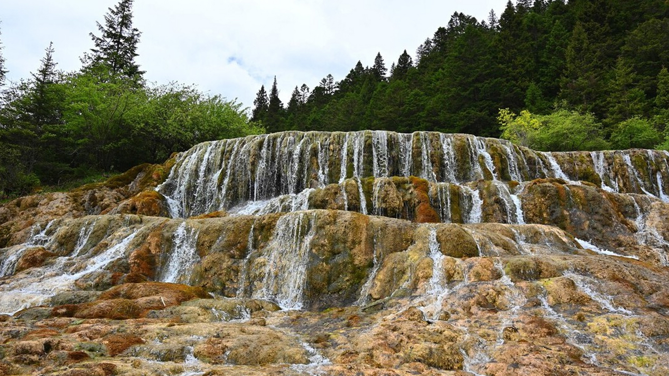 夏日的黄龙风景区风景如画,吸引着众多的游客前来观光游玩.