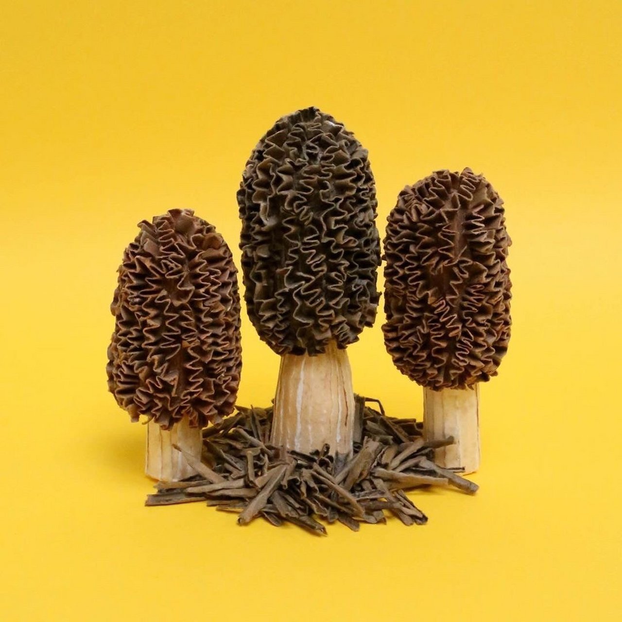 diana beltran herrera,将无数彩色纸片打造成精美绝伦的超现实作品