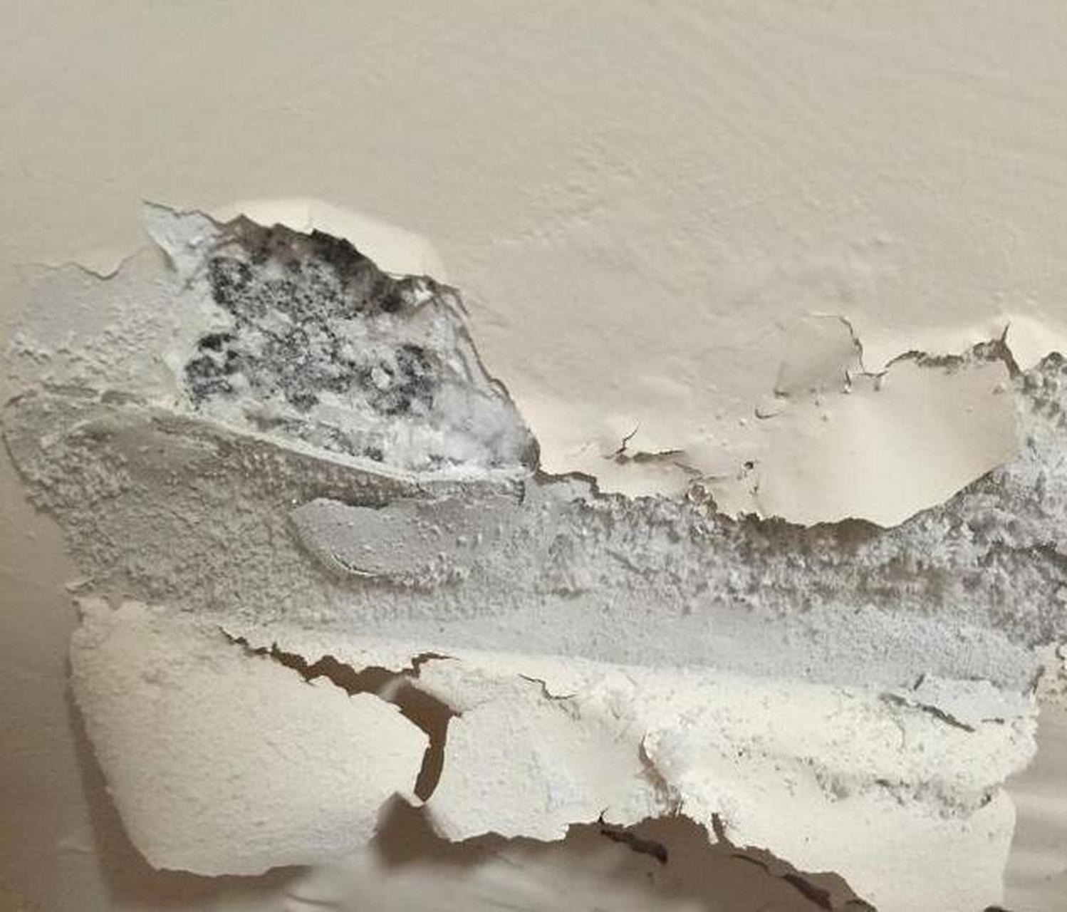 房子全屋贴的是墙纸,哪知道入住时间一长,墙纸就会出现发霉,起边等