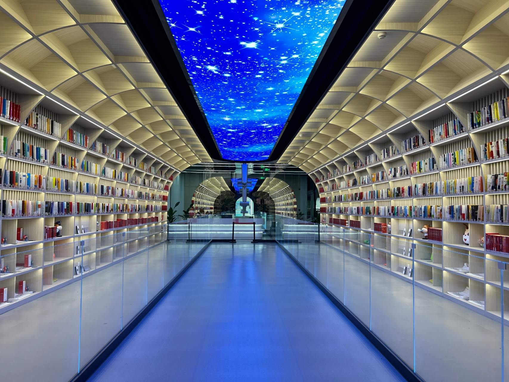 场馆里面的空间宽敞,灯光亮堂,未来感科技感很强,且充满童趣.