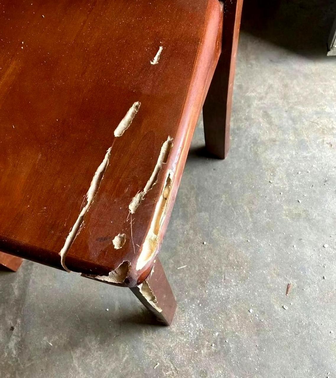 这十年来,它从未感到口渴吗?