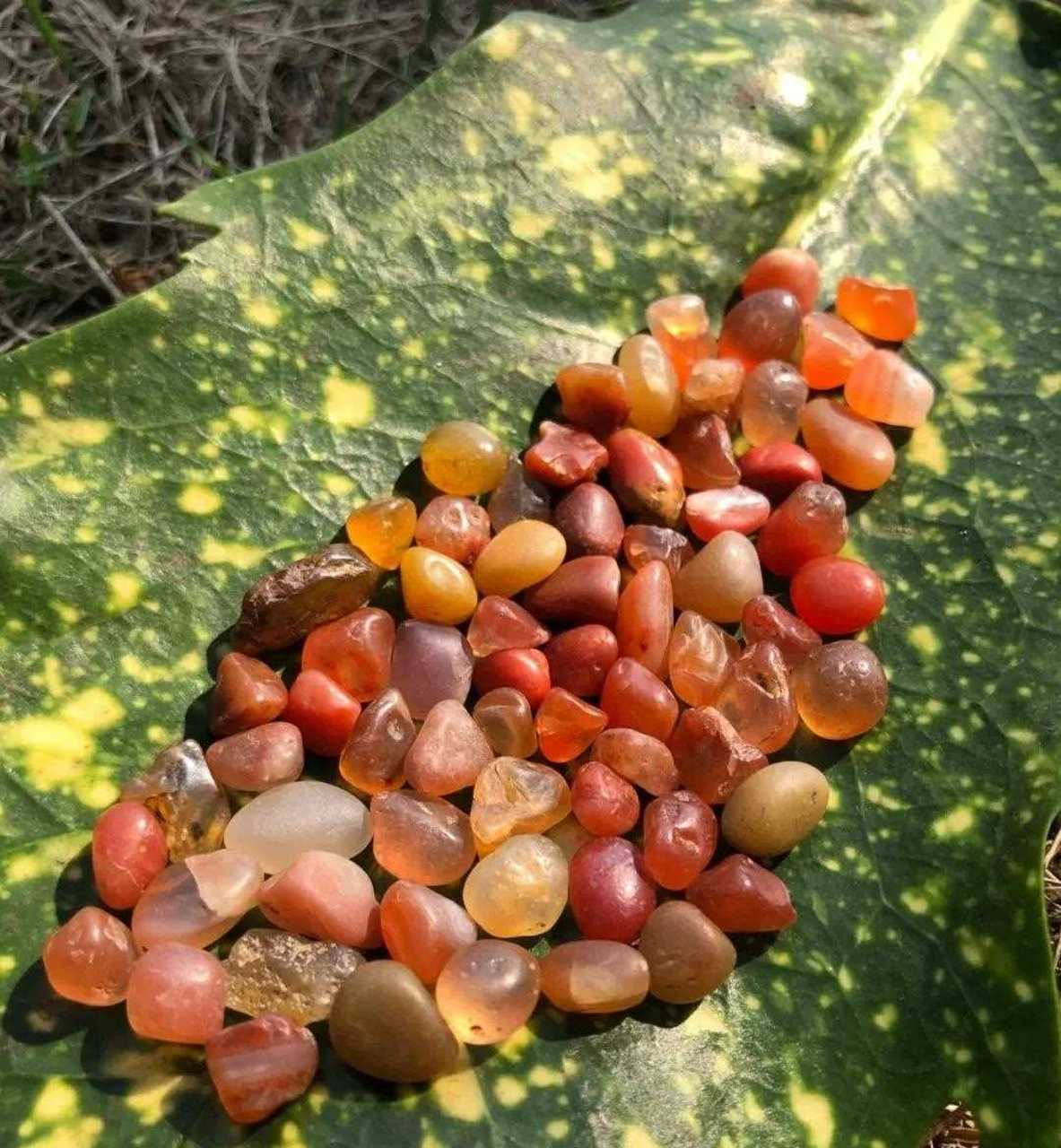 捡小石头的快乐还有谁懂?