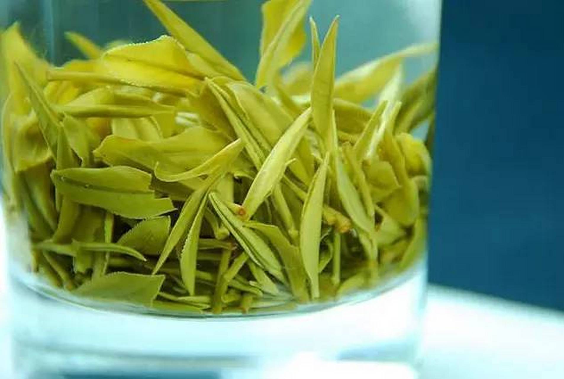 安徽茗茶大百科:黄花云尖,安徽省宣城市宁国市特产,全国农产品地理