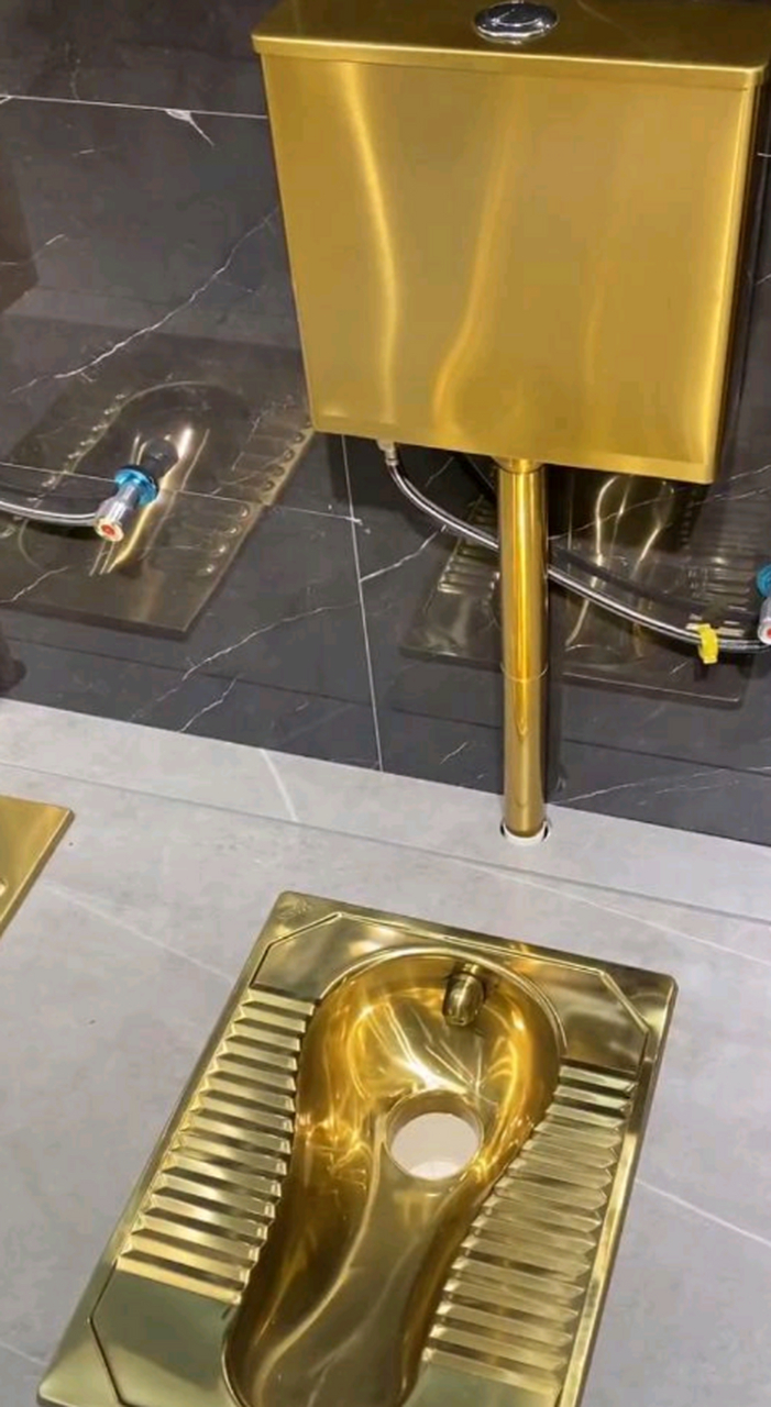 黄金马桶  处处彰显贵族气质