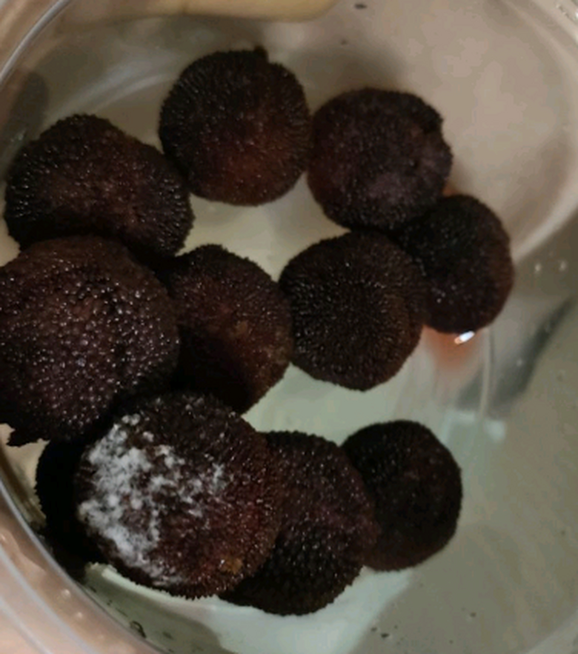 为什么杨梅洗了之后,放一晚上就发霉了?