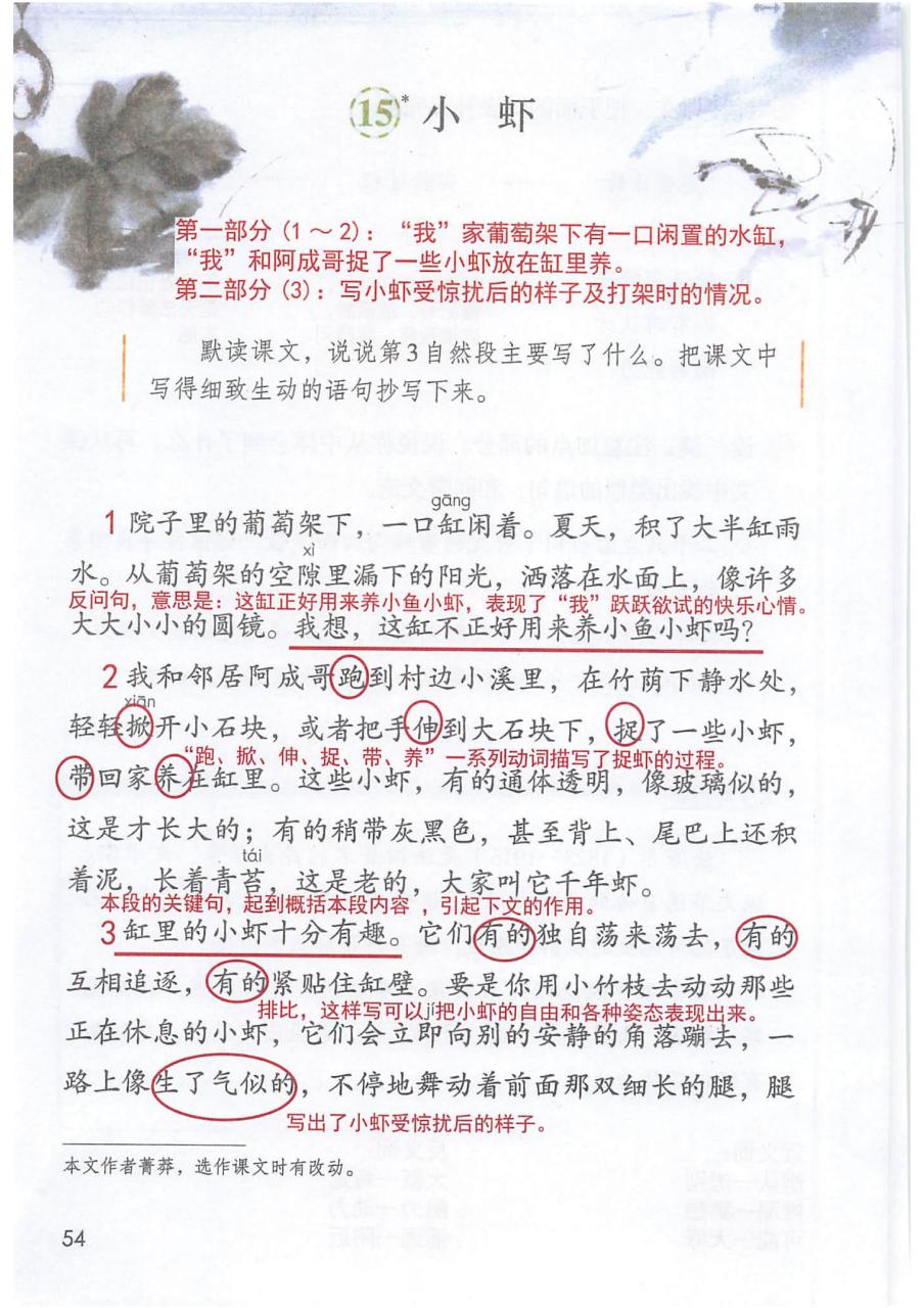 三年级语文下册第15课《小虾》课文预习笔记分享[开心] 《小虾》以第
