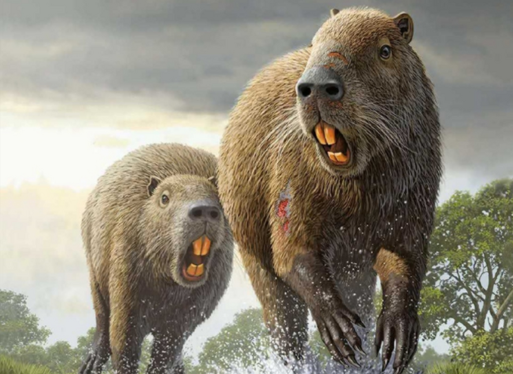 伊朗巨鼠是一种受到核辐射之后产生突变的巨大老鼠,据悉伊朗巨鼠的