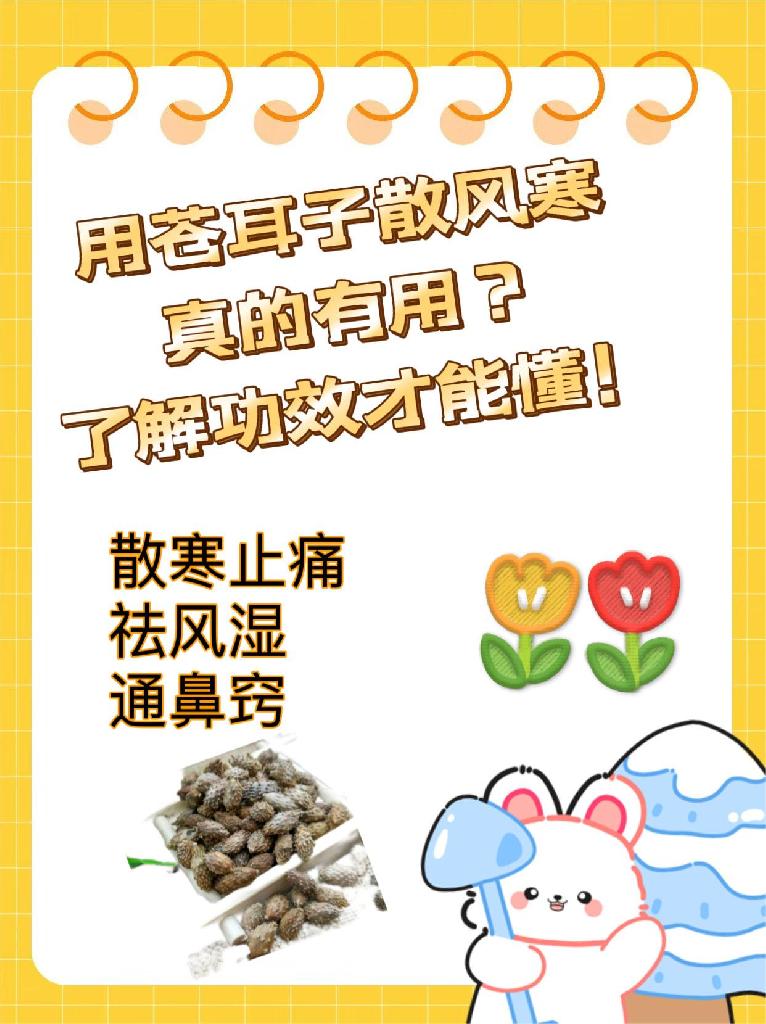 苍耳治风湿秘方图片