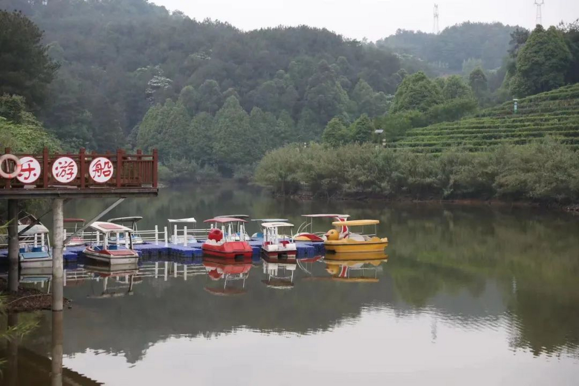 高县大雁岭景区2020图片