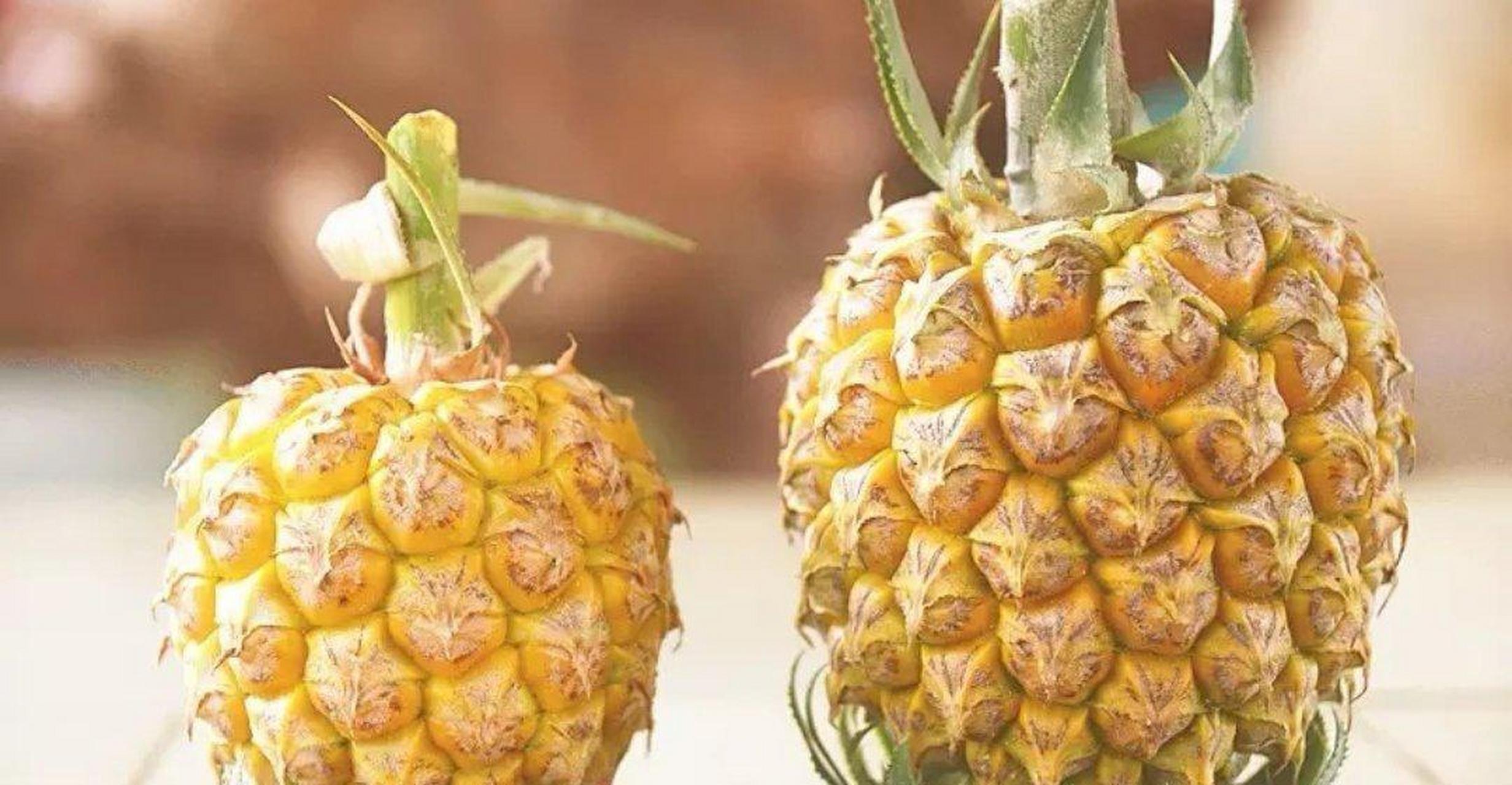 中山市神湾镇,盛产神湾菠萝,神湾镇属亚热带季风气候,毗邻珠海,尝过