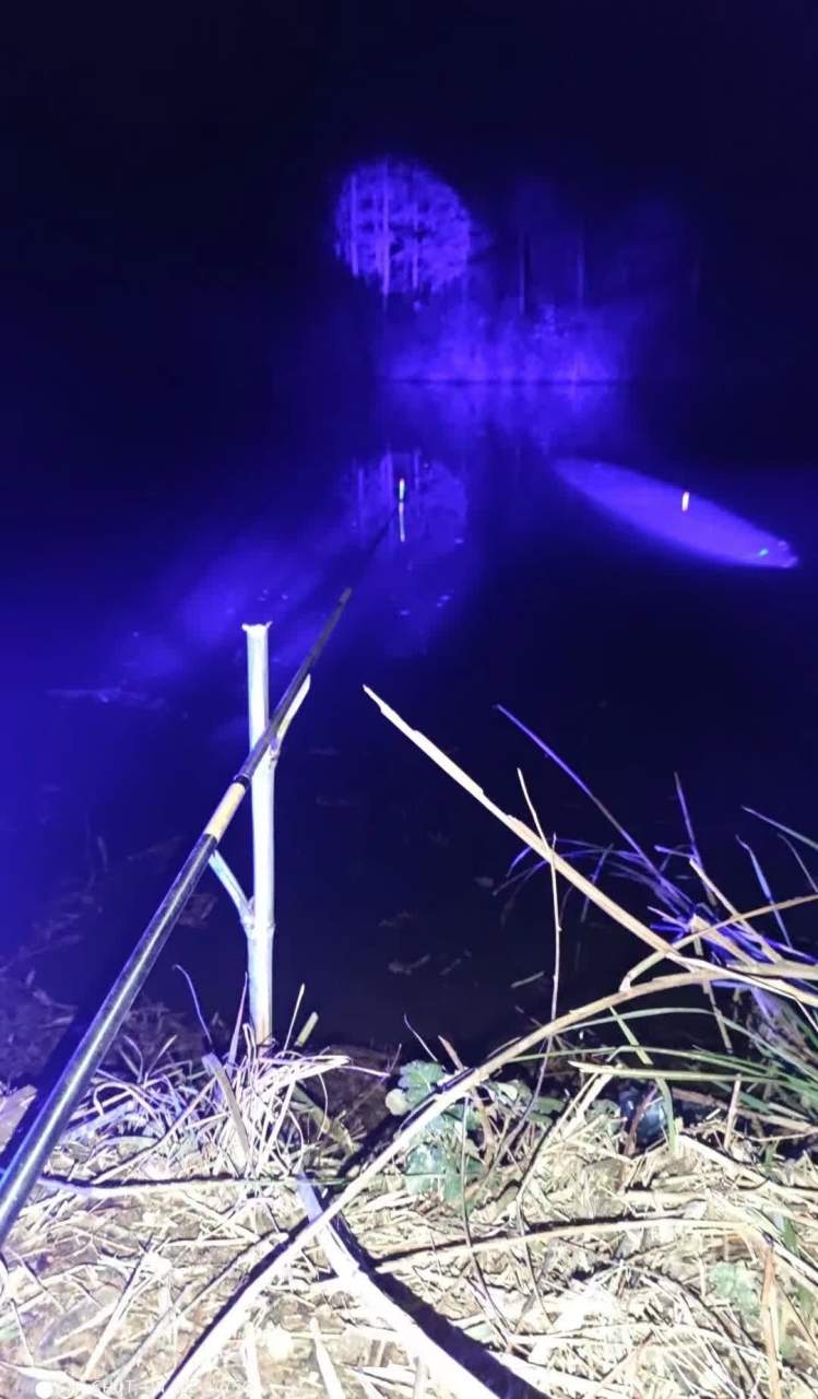 现有太子右天皇后,逆烟乃神仙相配.[你懂的]