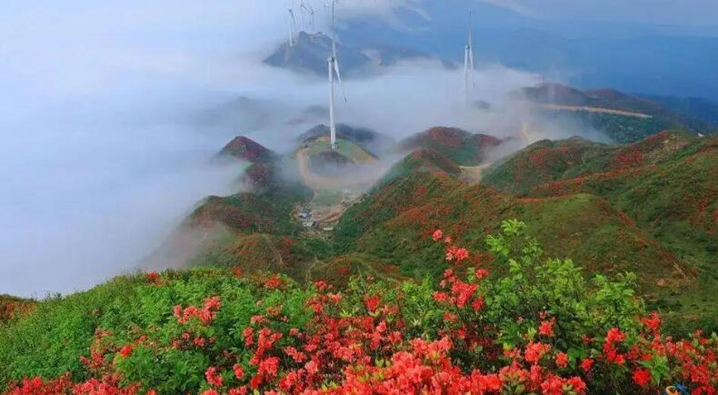 大餘梅關—丫山風景區以古蹟和森林為兩大最主要景觀,是大餘縣內最