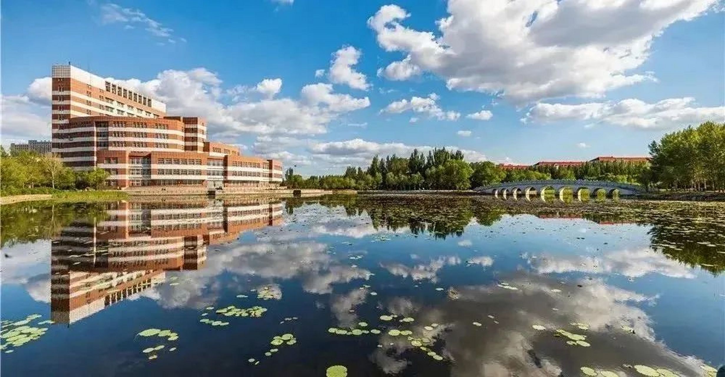 东北石油大学全景图图片