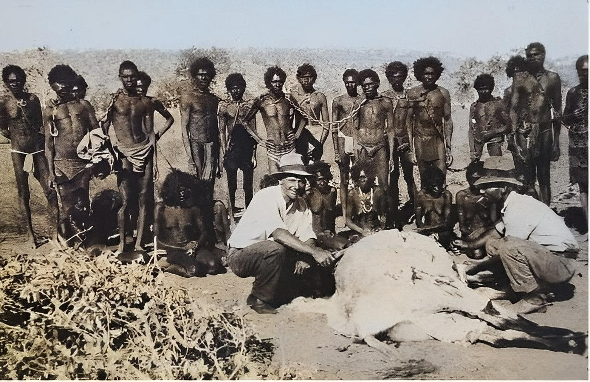 1883年,一群将被贩卖的澳洲土著,被一条长长的链子绑在一起,无法逃脱.