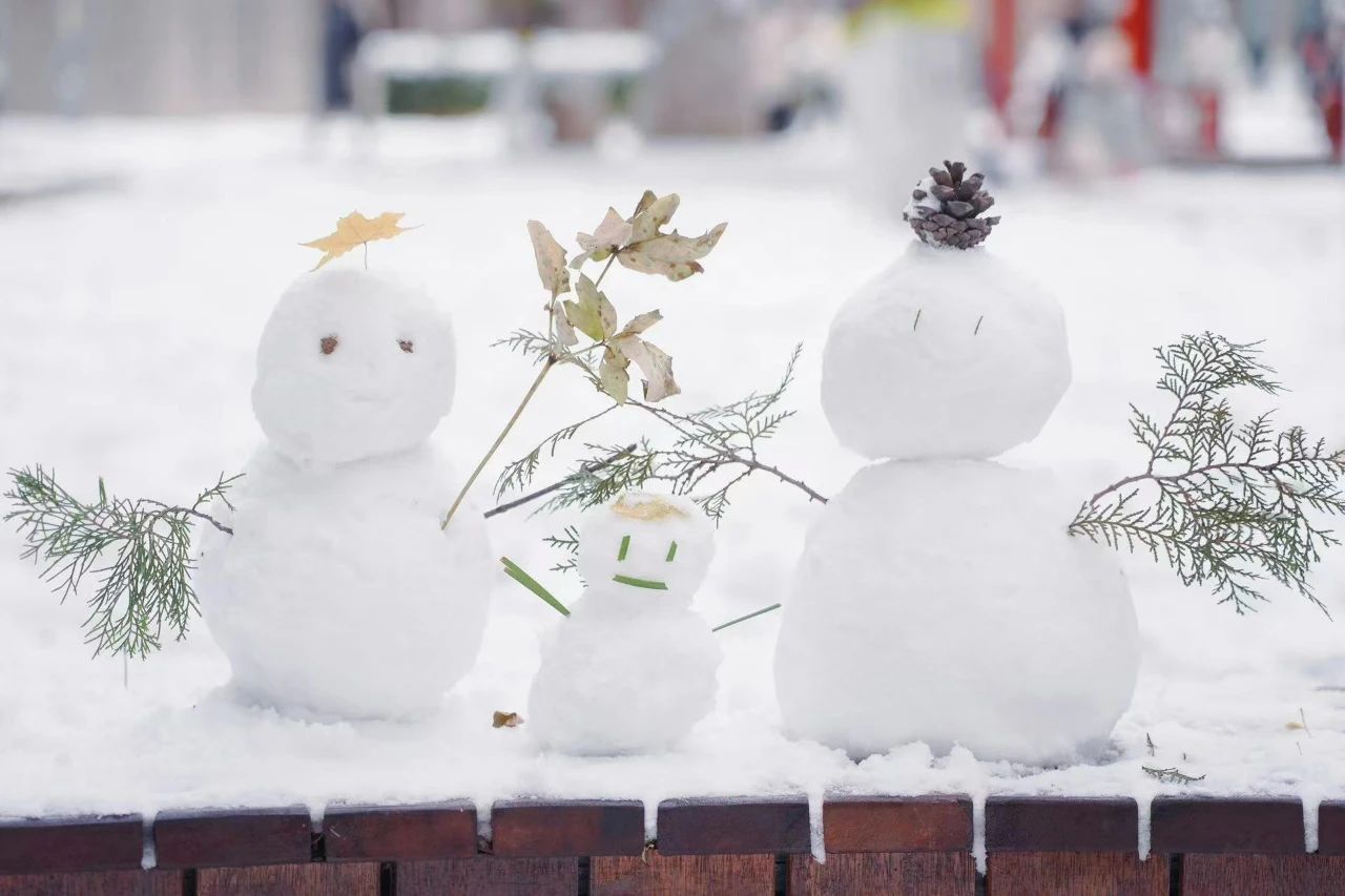 雪人融化过程图图片