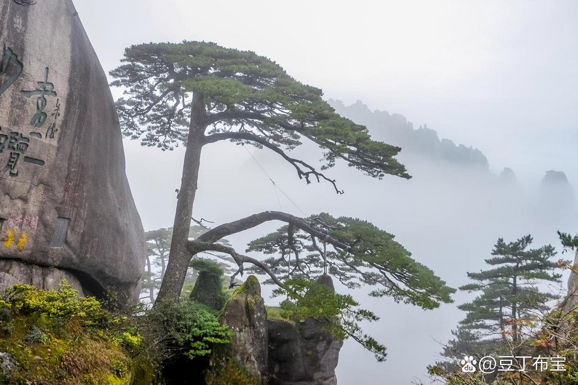 "五岳归来不看山,黄山归来不看岳",黄山值得流连忘返,被誉为"天下第一