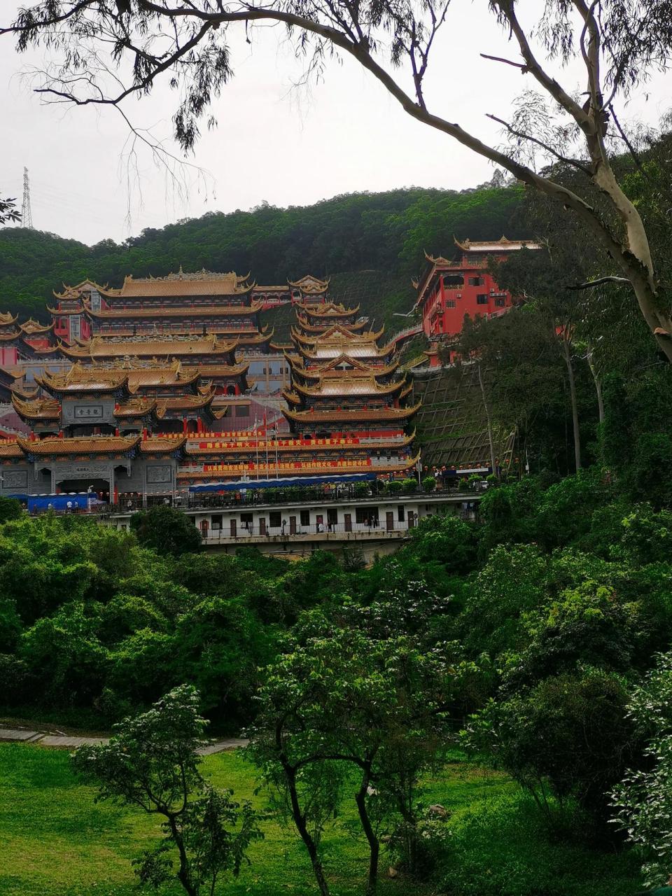 大岭山森林公园观音寺图片