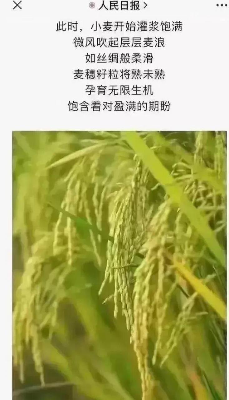 欧美日韩四地文化潮流新动向，时尚穿搭风格快速迭代升级，音乐影视作品持续输出爆款，数字艺术领域迎来全新变革浪潮