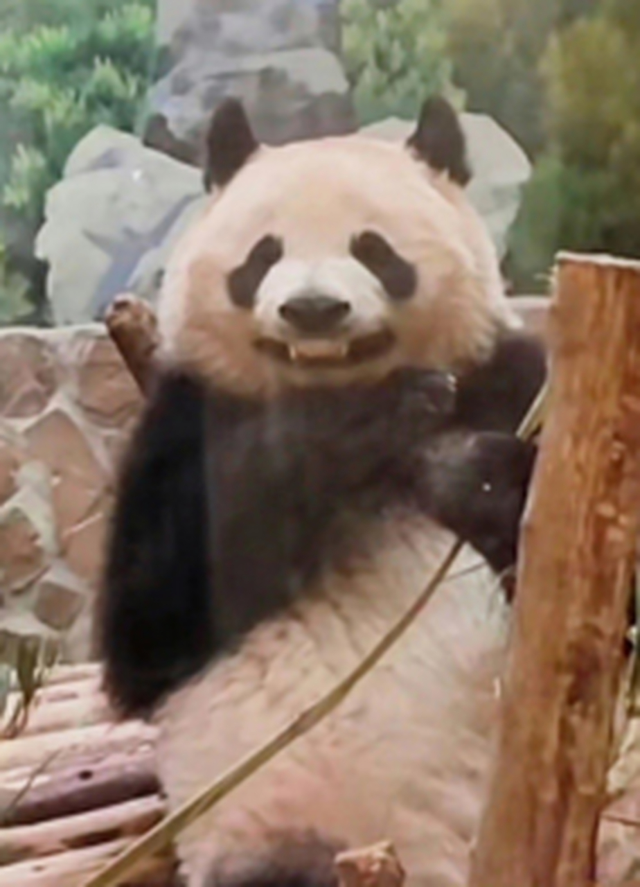 它怎么能笑成这样哈哈哈哈哈哈.