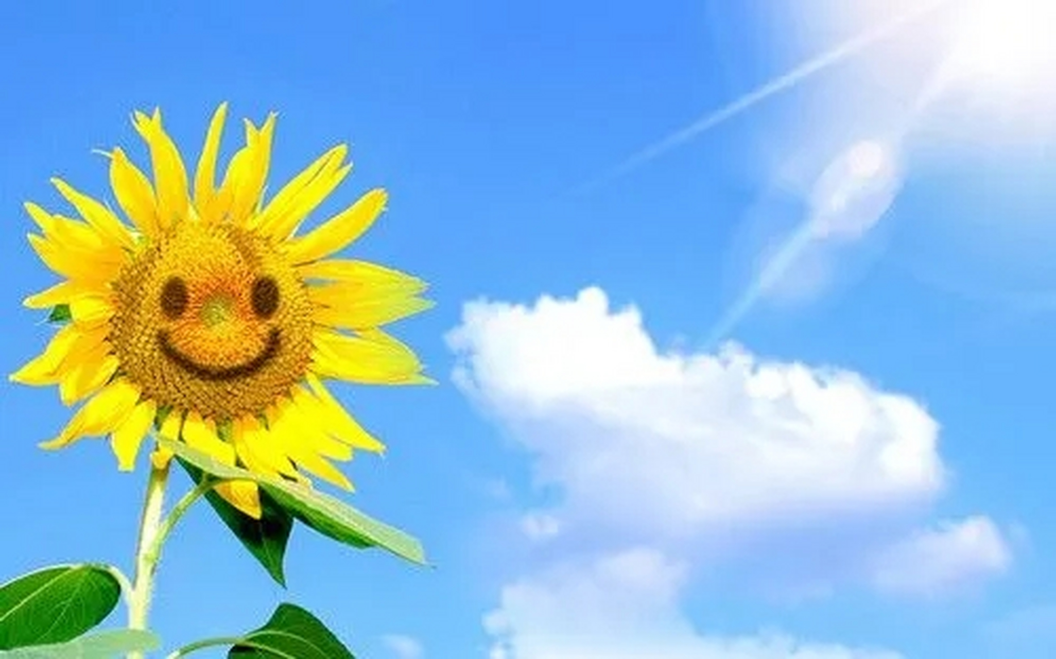 在这个充满变化和挑战的世界中,积极的思维和正向的