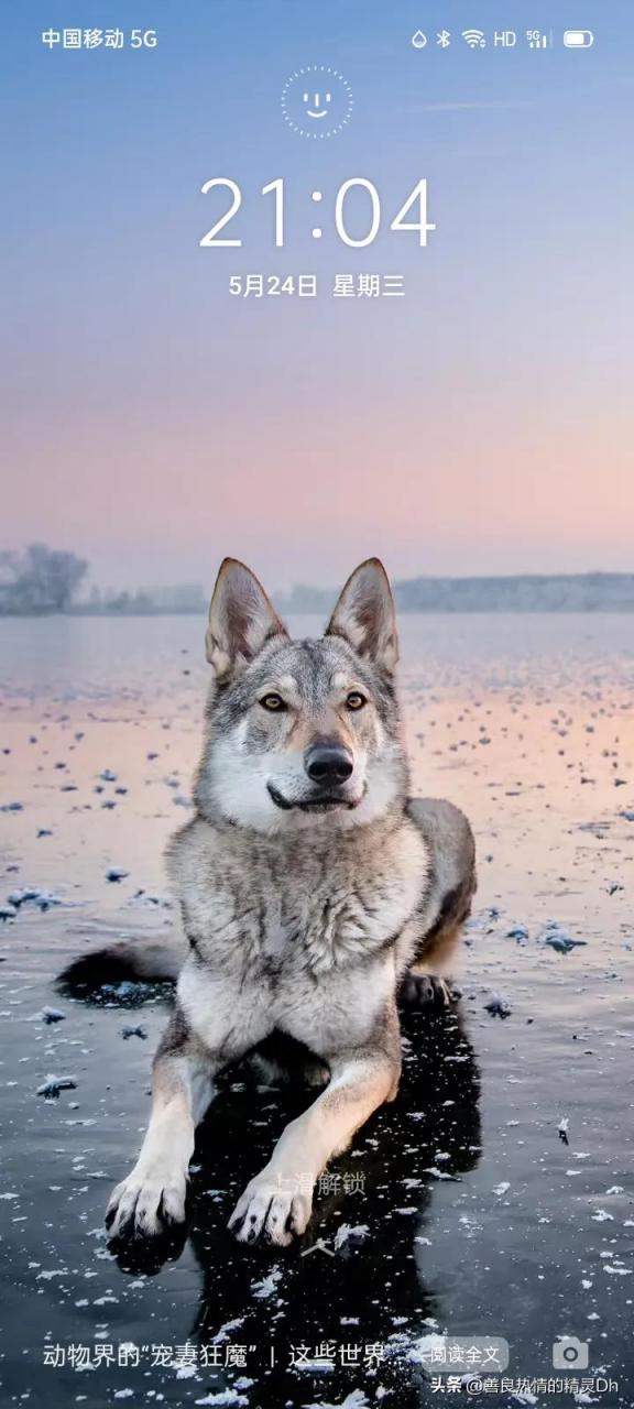 上海复旦大学陈平教授在一次演讲上说,在中国一月挣2000块钱,比在美国