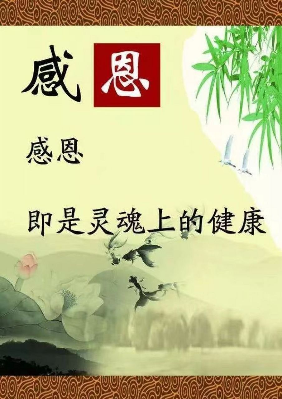 感悟:珍惜,珍惜所拥有的的,并抱持感恩之心!
