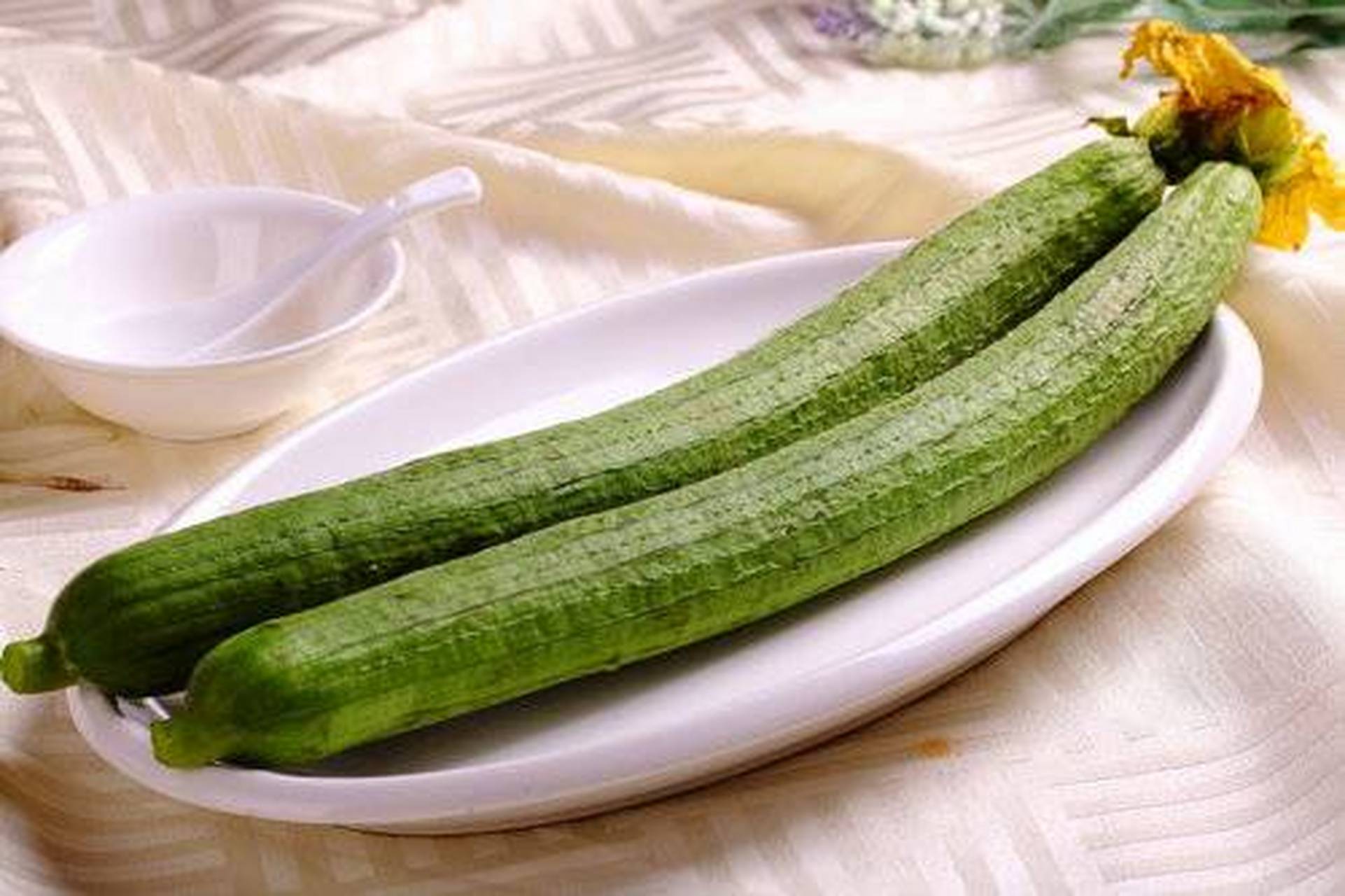 丝瓜为什么会苦有毒吗为什么在线